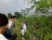 122cc太阳集成游戏