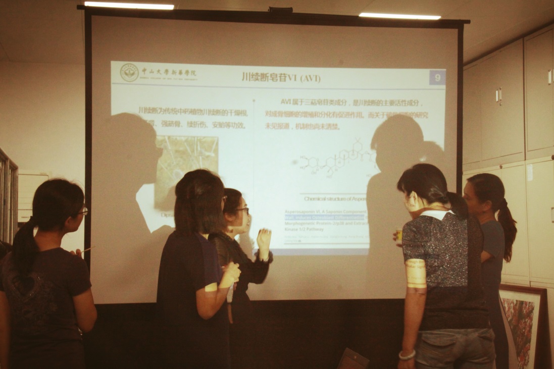 122cc太阳集成游戏