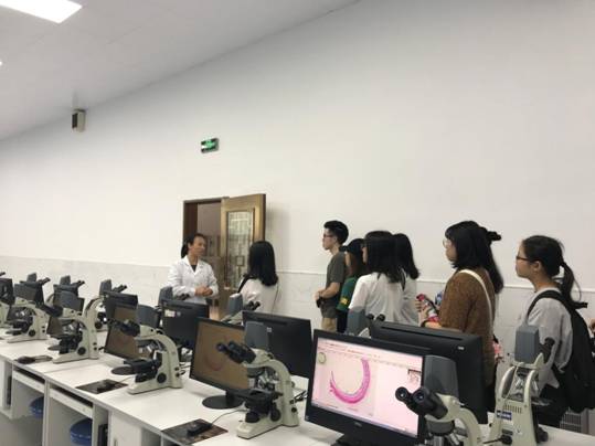 122cc太阳集成游戏