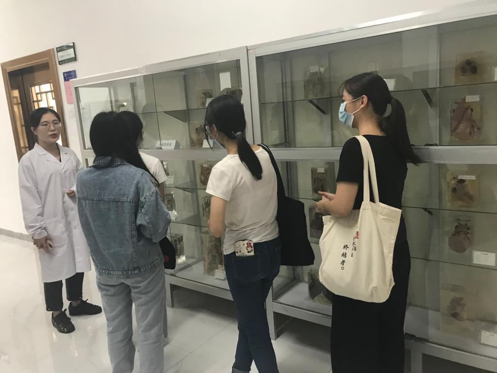 122cc太阳集成游戏