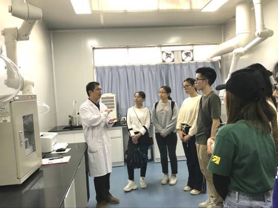 122cc太阳集成游戏