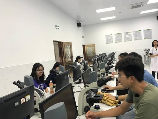 122cc太阳集成游戏