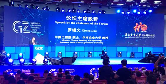 122cc太阳集成游戏